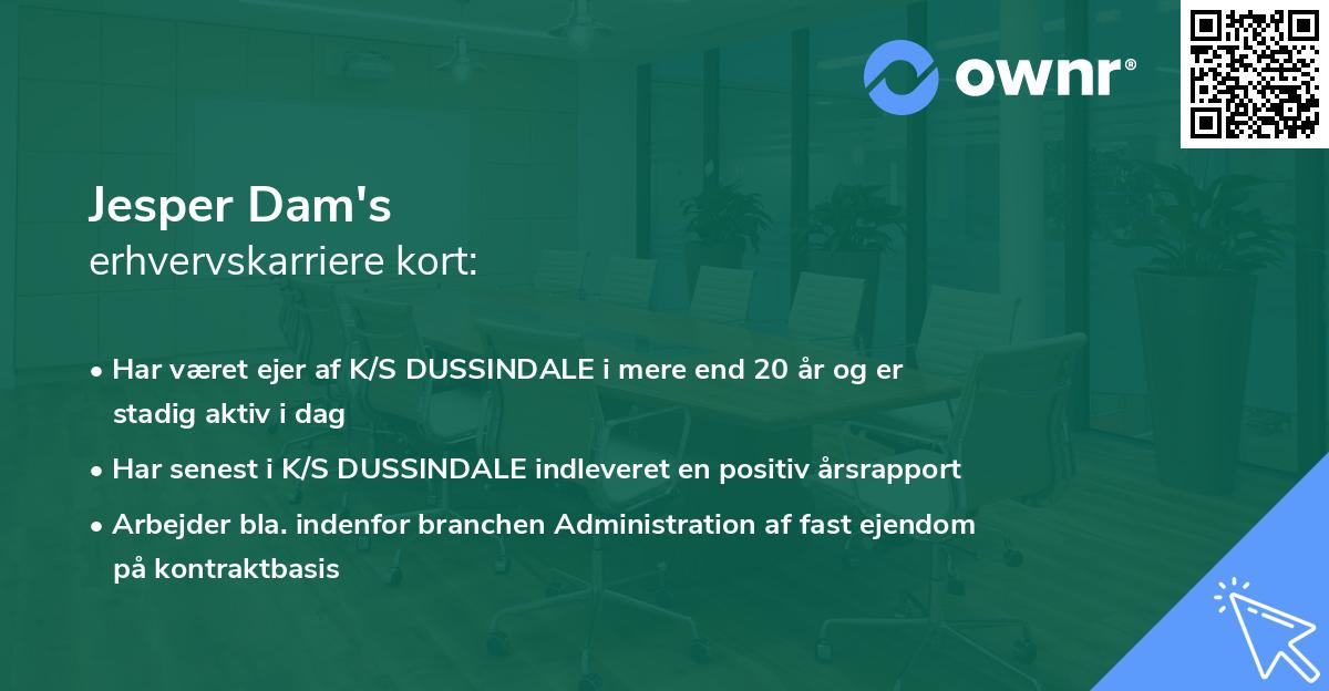 Jesper Dam's erhvervskarriere kort