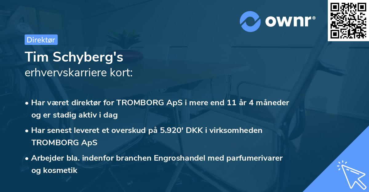 Tim Schyberg's erhvervskarriere kort