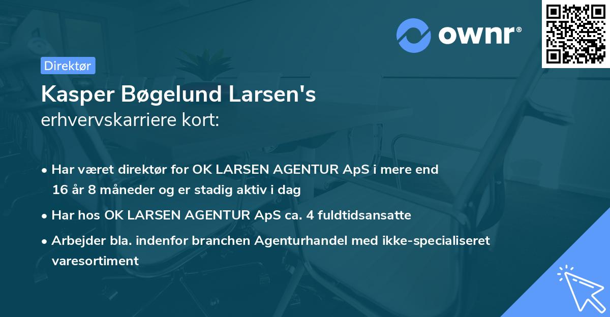 Kasper Bøgelund Larsen's erhvervskarriere kort