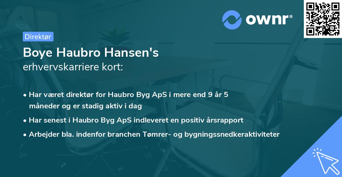 Boye Haubro Hansen's erhvervskarriere kort