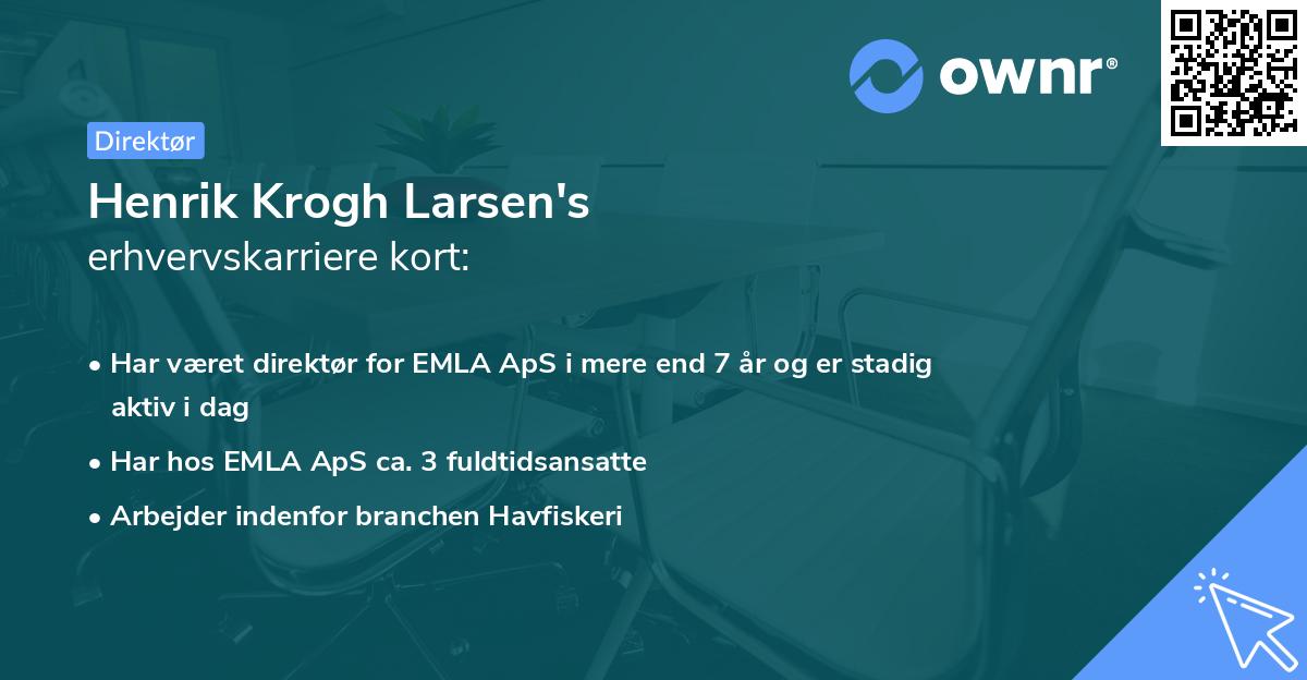 Henrik Krogh Larsen's erhvervskarriere kort