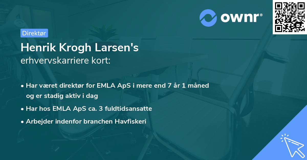 Henrik Krogh Larsen's erhvervskarriere kort