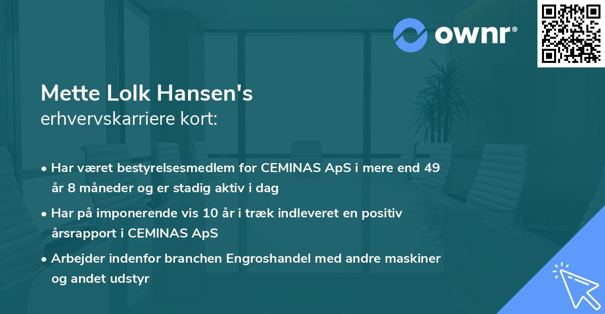 Mette Lolk Hansen's erhvervskarriere kort