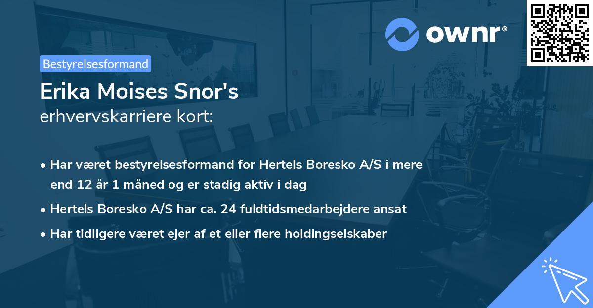 Erika Moises Snor's erhvervskarriere kort