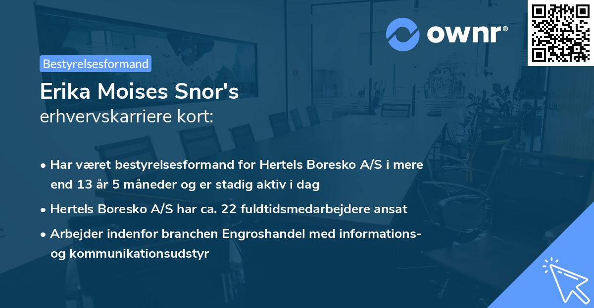Erika Moises Snor's erhvervskarriere kort