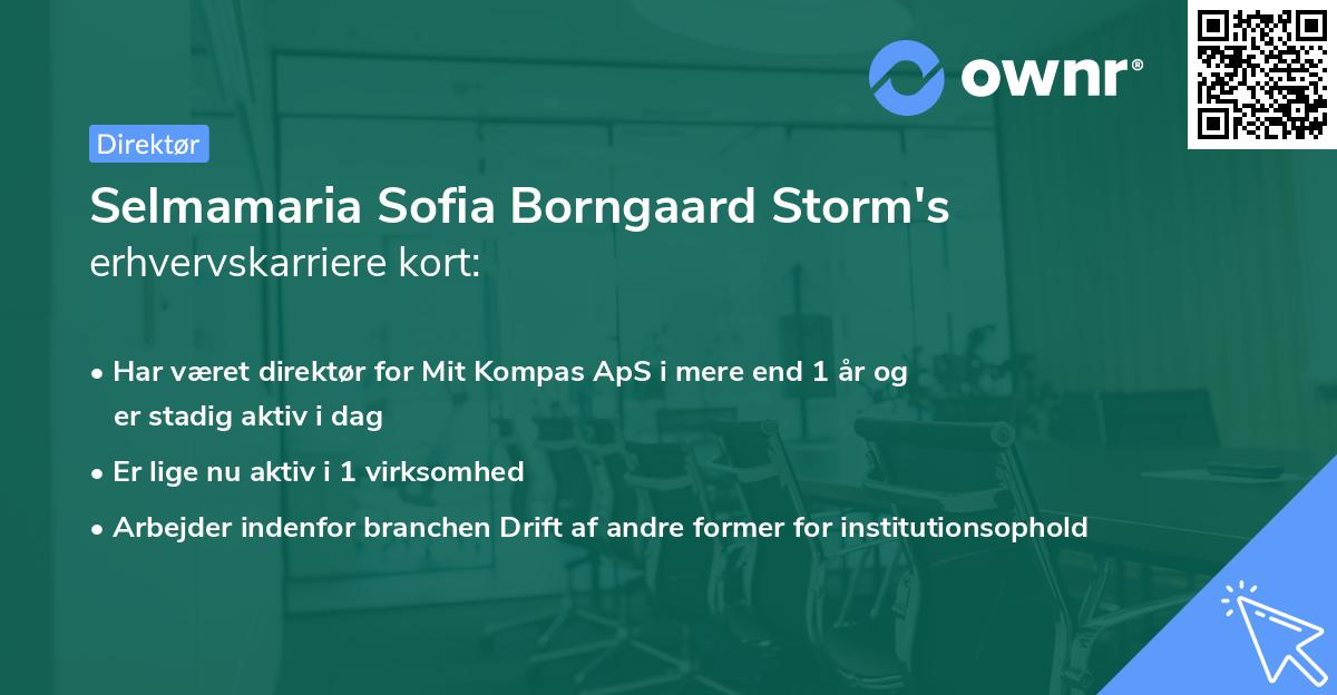 Selmamaria Sofia Borngaard Storm's erhvervskarriere kort