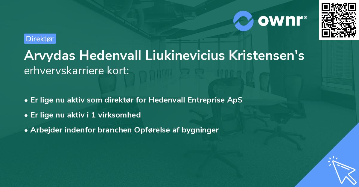 Arvydas Hedenvall Liukinevicius Kristensen's erhvervskarriere kort