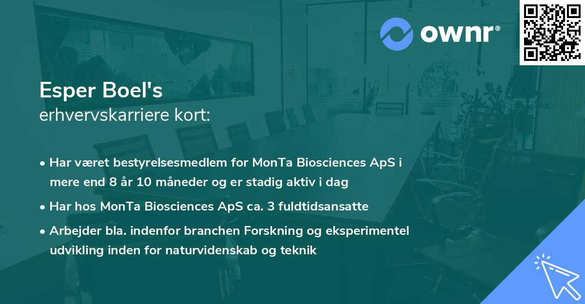 Esper Boel's erhvervskarriere kort