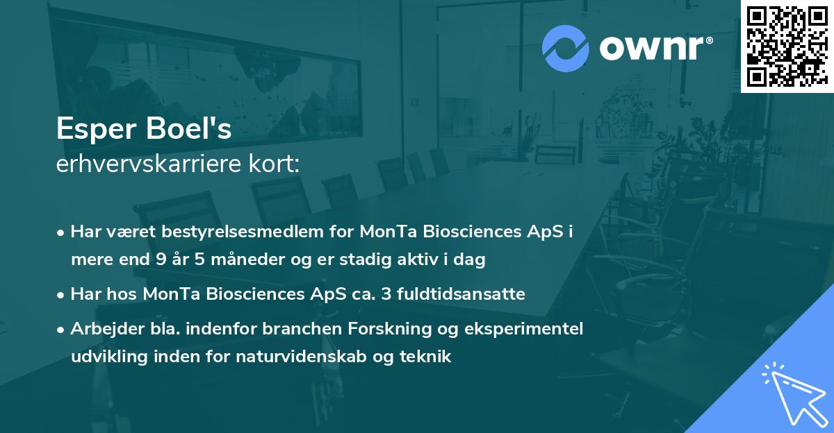 Esper Boel's erhvervskarriere kort