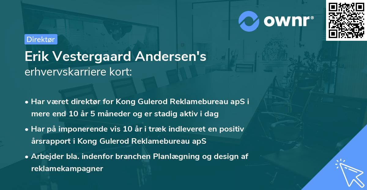 Erik Vestergaard Andersen's erhvervskarriere kort