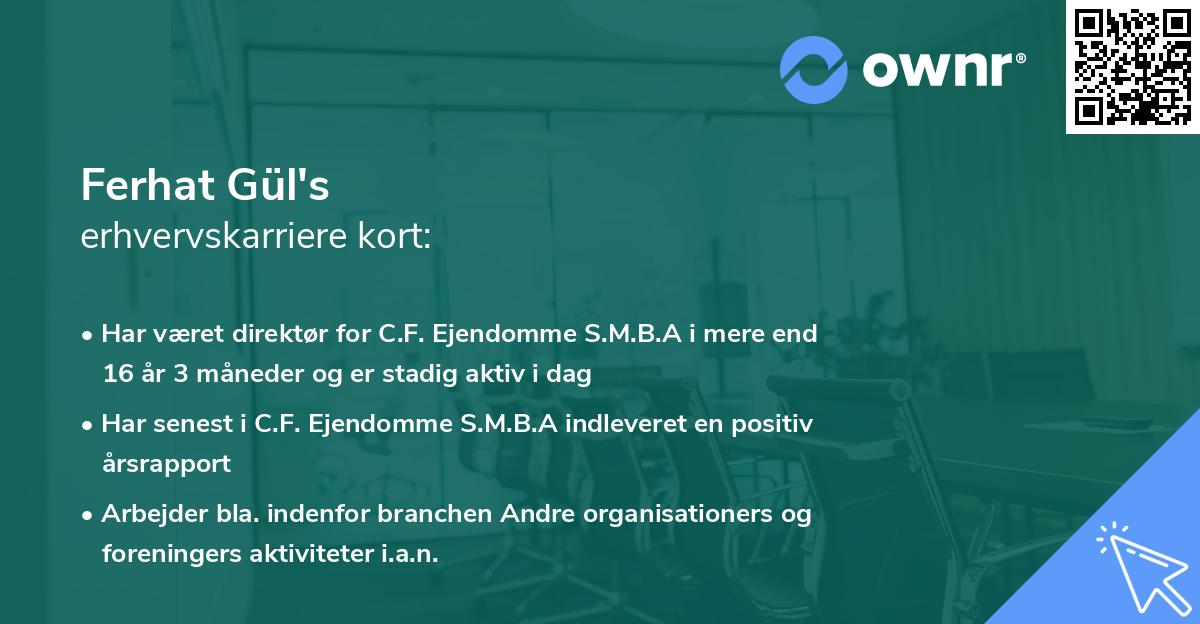 Ferhat Gül's erhvervskarriere kort