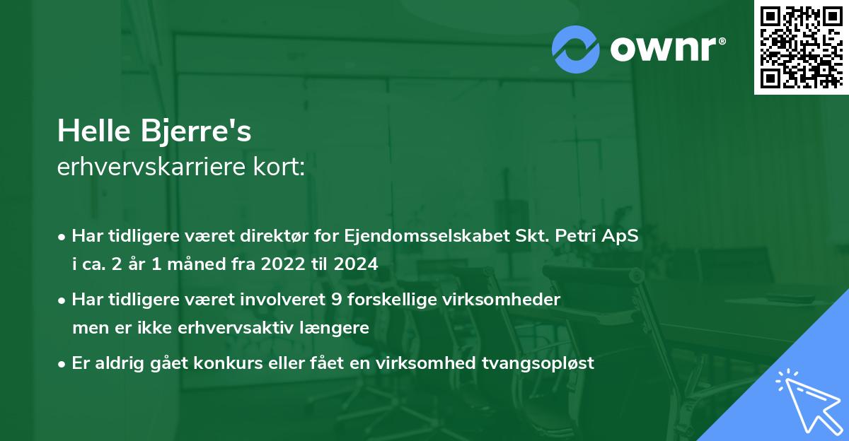 Helle Bjerre's erhvervskarriere kort