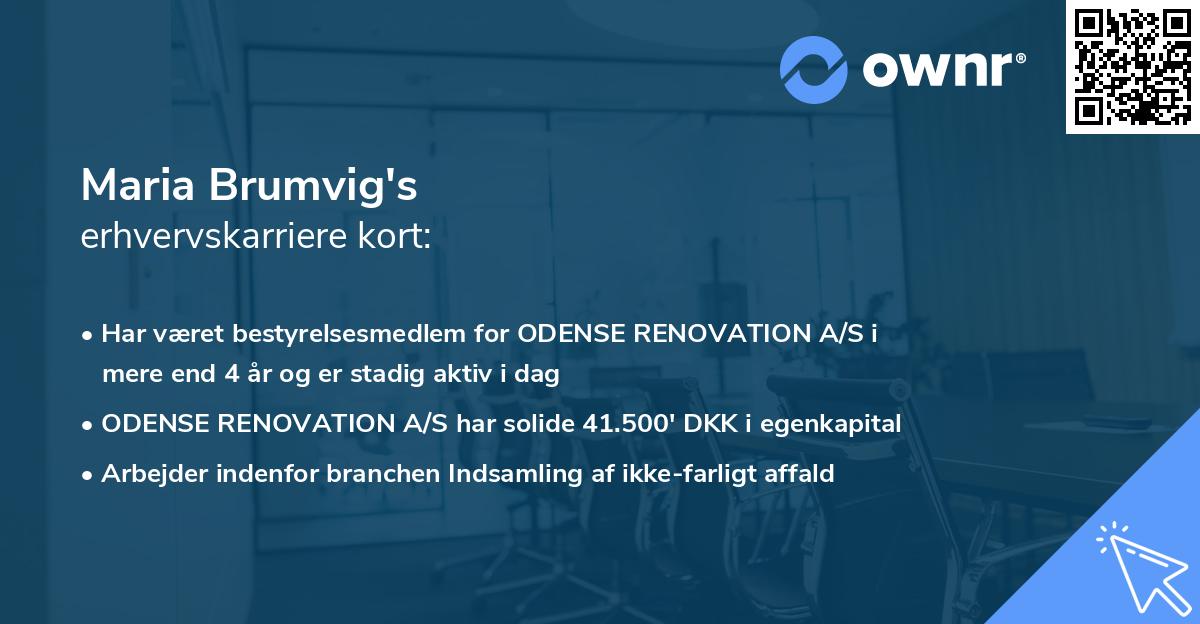Maria Brumvig's erhvervskarriere kort