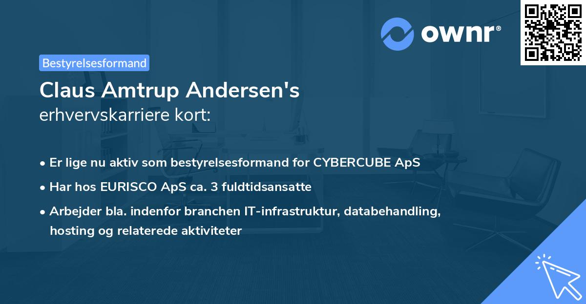 Claus Amtrup Andersen's erhvervskarriere kort