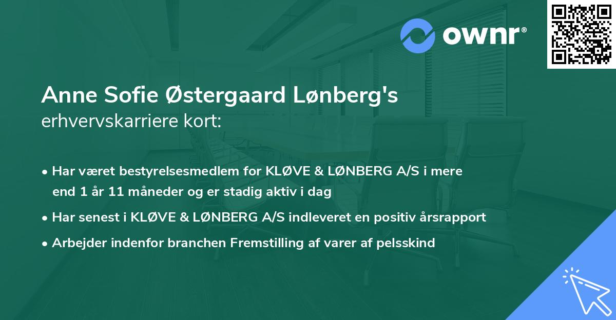 Anne Sofie Østergaard Lønberg's erhvervskarriere kort