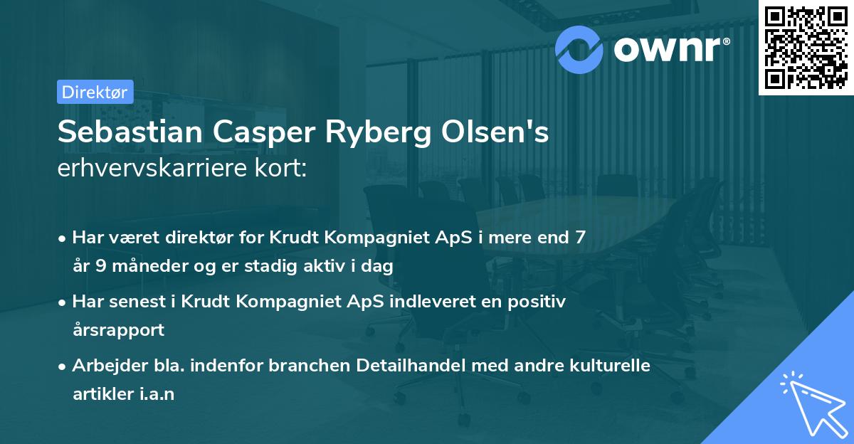 Sebastian Casper Ryberg Olsen's erhvervskarriere kort
