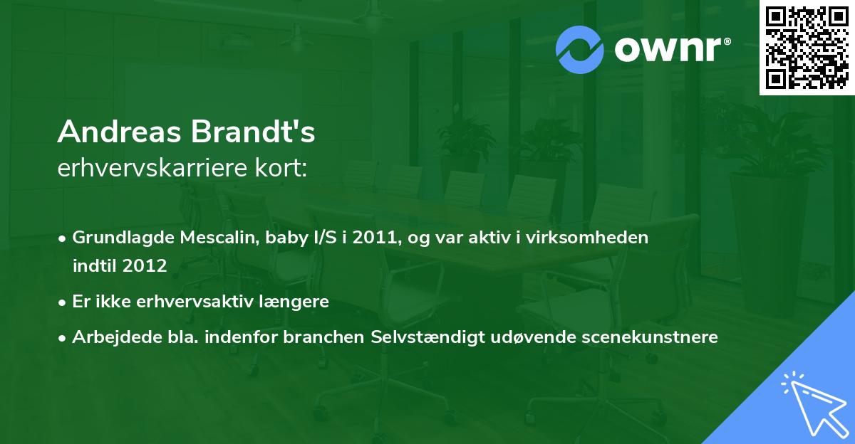 Andreas Brandt's erhvervskarriere kort
