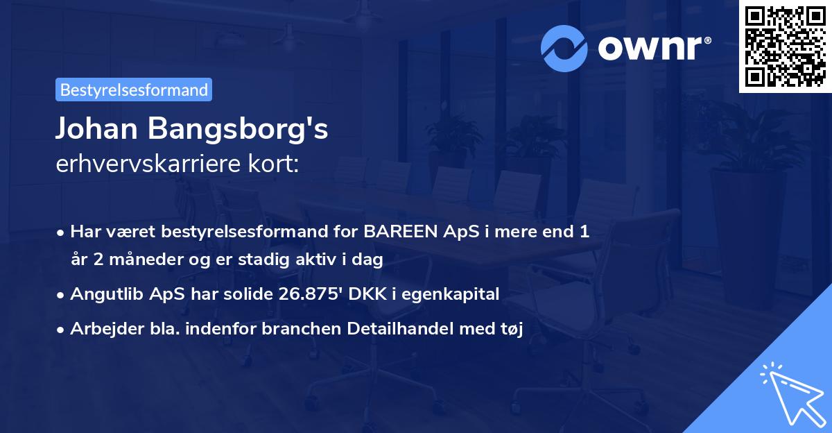 Johan Bangsborg's erhvervskarriere kort
