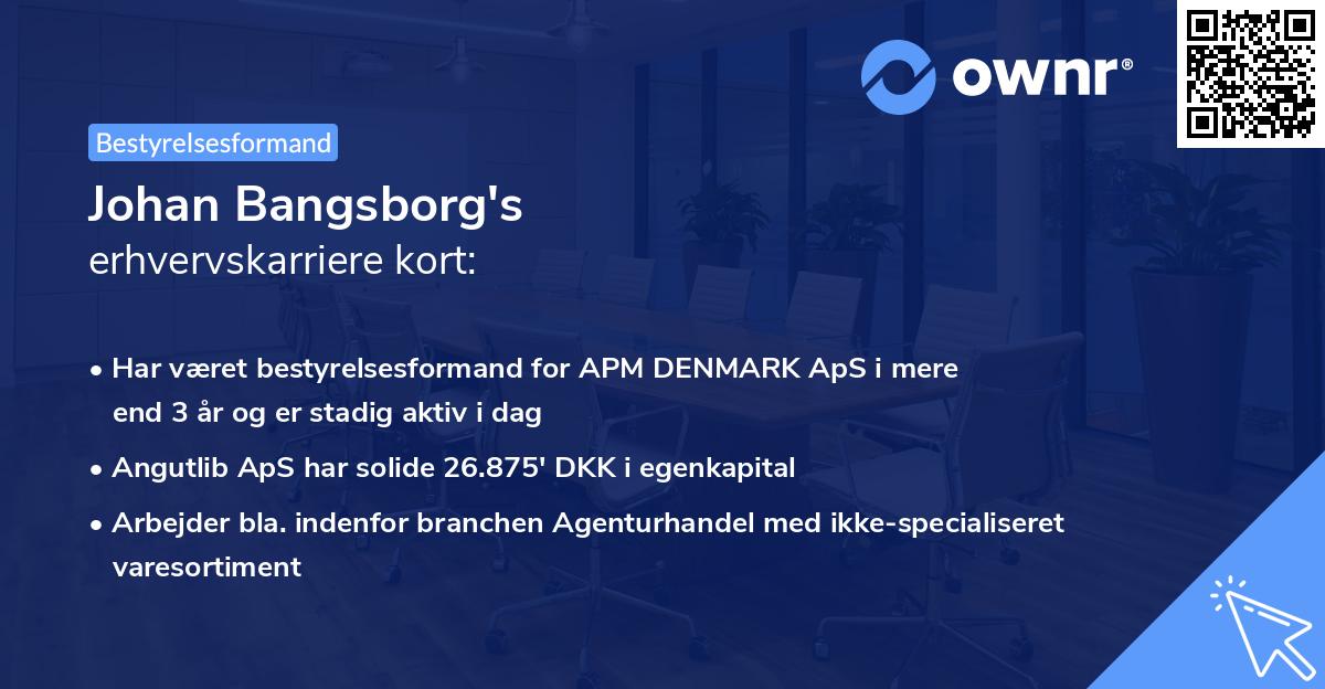 Johan Bangsborg's erhvervskarriere kort