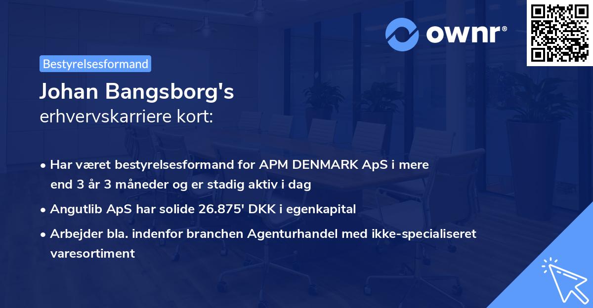 Johan Bangsborg's erhvervskarriere kort