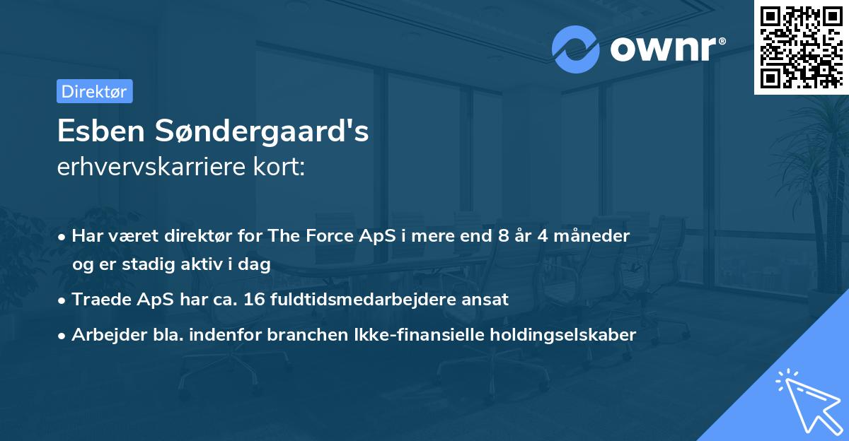 Esben Søndergaard's erhvervskarriere kort