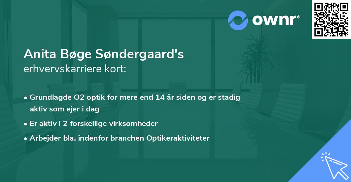 Anita Bøge Søndergaard's erhvervskarriere kort