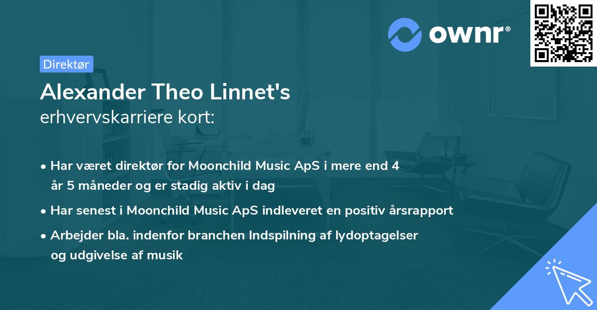 Alexander Theo Linnet's erhvervskarriere kort