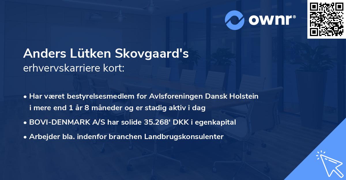 Anders Lütken Skovgaard's erhvervskarriere kort