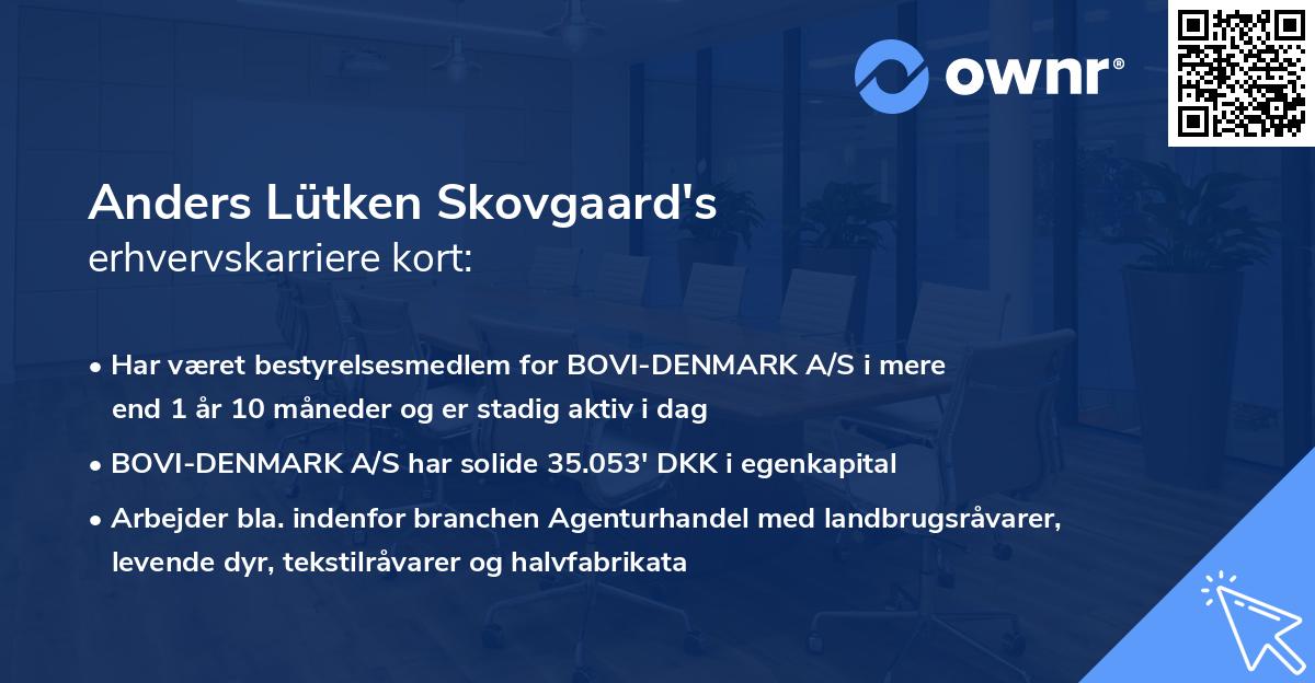 Anders Lütken Skovgaard's erhvervskarriere kort