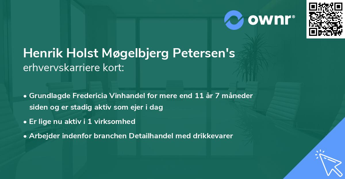 Henrik Holst Møgelbjerg Petersen's erhvervskarriere kort