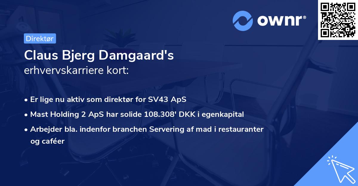Claus Bjerg Damgaard's erhvervskarriere kort