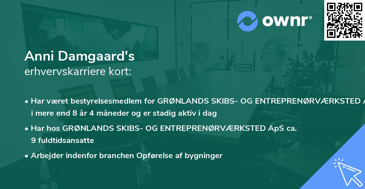 Anni Damgaard's erhvervskarriere kort