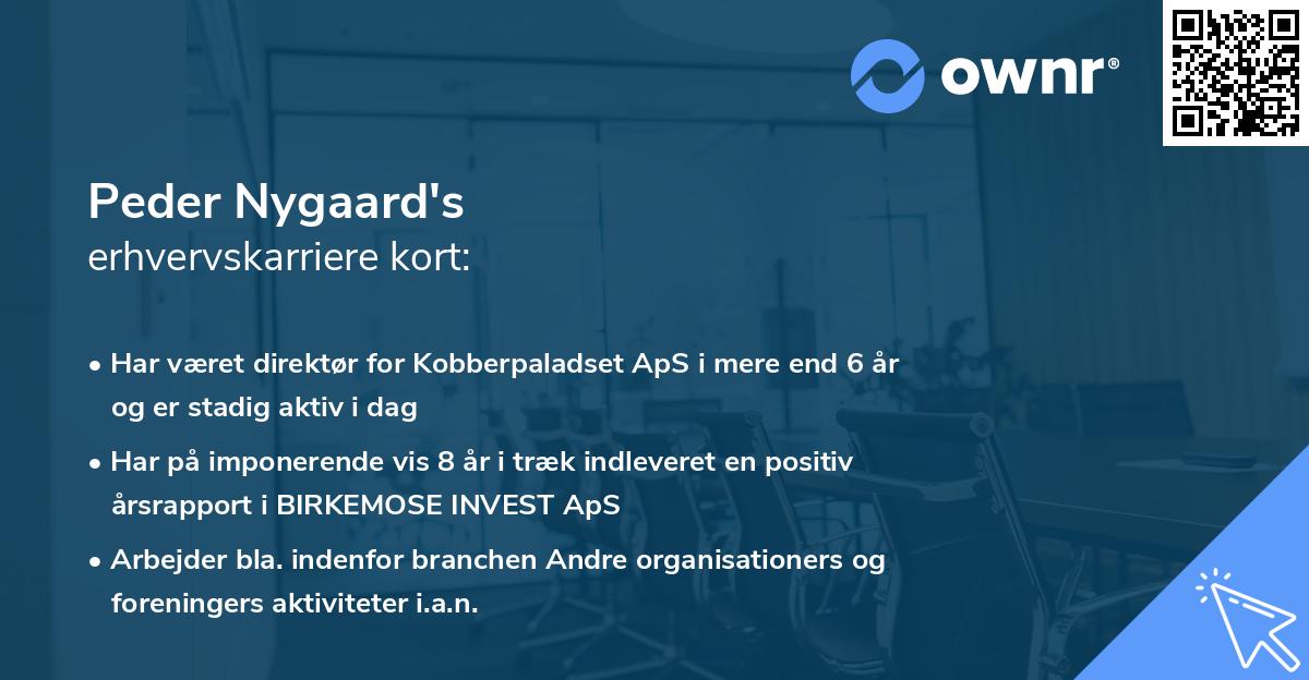 Peder Nygaard's erhvervskarriere kort