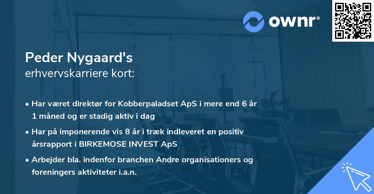 Peder Nygaard's erhvervskarriere kort