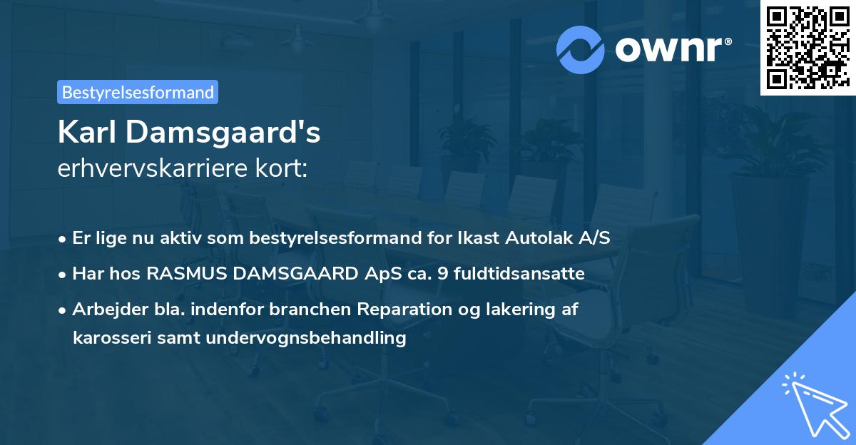 Karl Damsgaard's erhvervskarriere kort