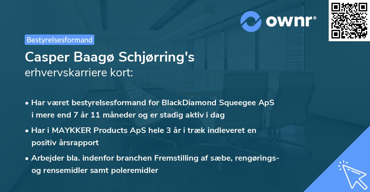 Casper Baagø Schjørring's erhvervskarriere kort