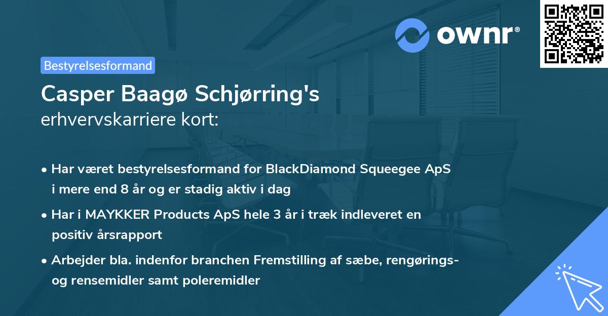 Casper Baagø Schjørring's erhvervskarriere kort