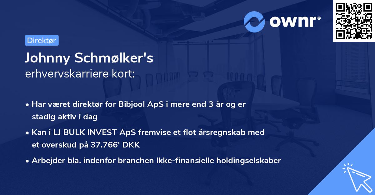 Johnny Schmølker's erhvervskarriere kort
