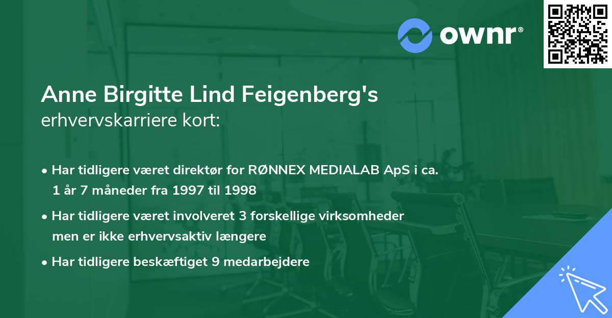 Anne Birgitte Lind Feigenberg's erhvervskarriere kort