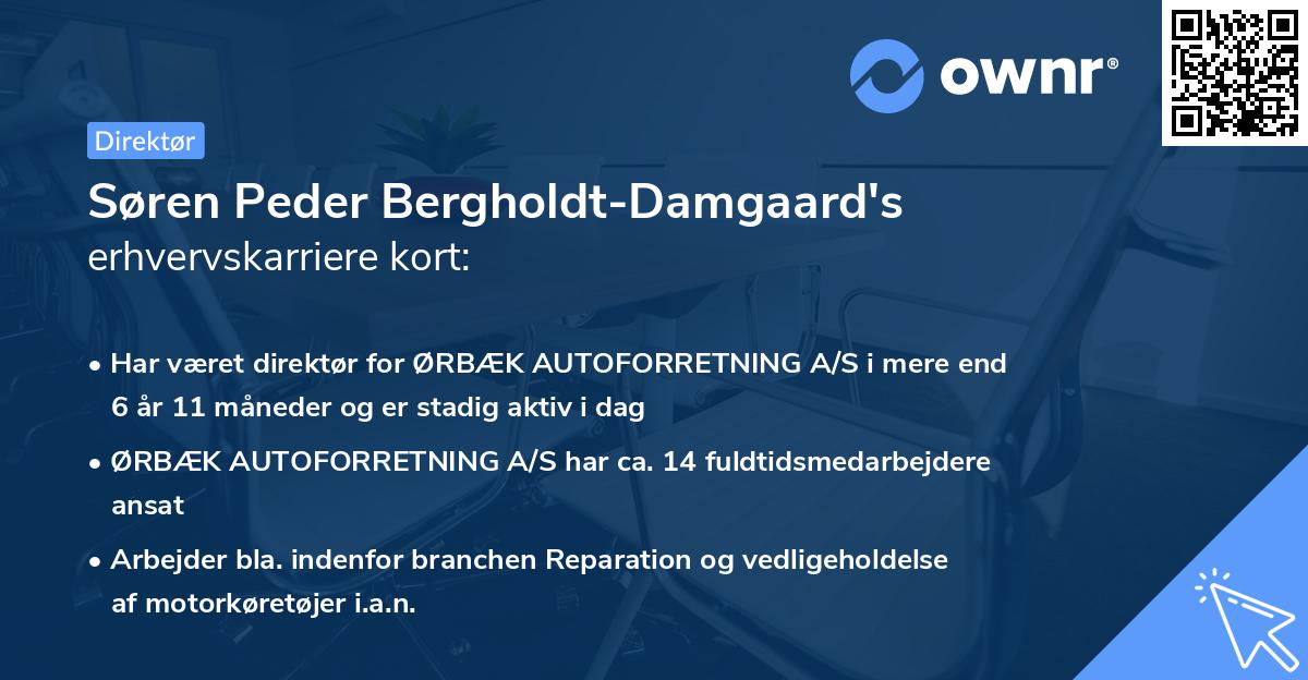 Søren Peder Bergholdt-Damgaard's erhvervskarriere kort