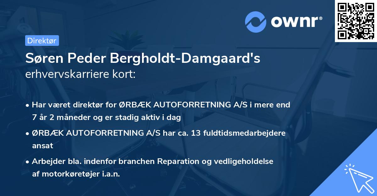 Søren Peder Bergholdt-Damgaard's erhvervskarriere kort