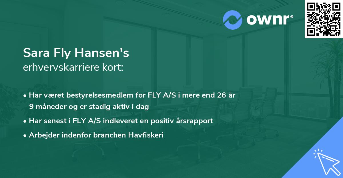 Sara Fly Hansen's erhvervskarriere kort