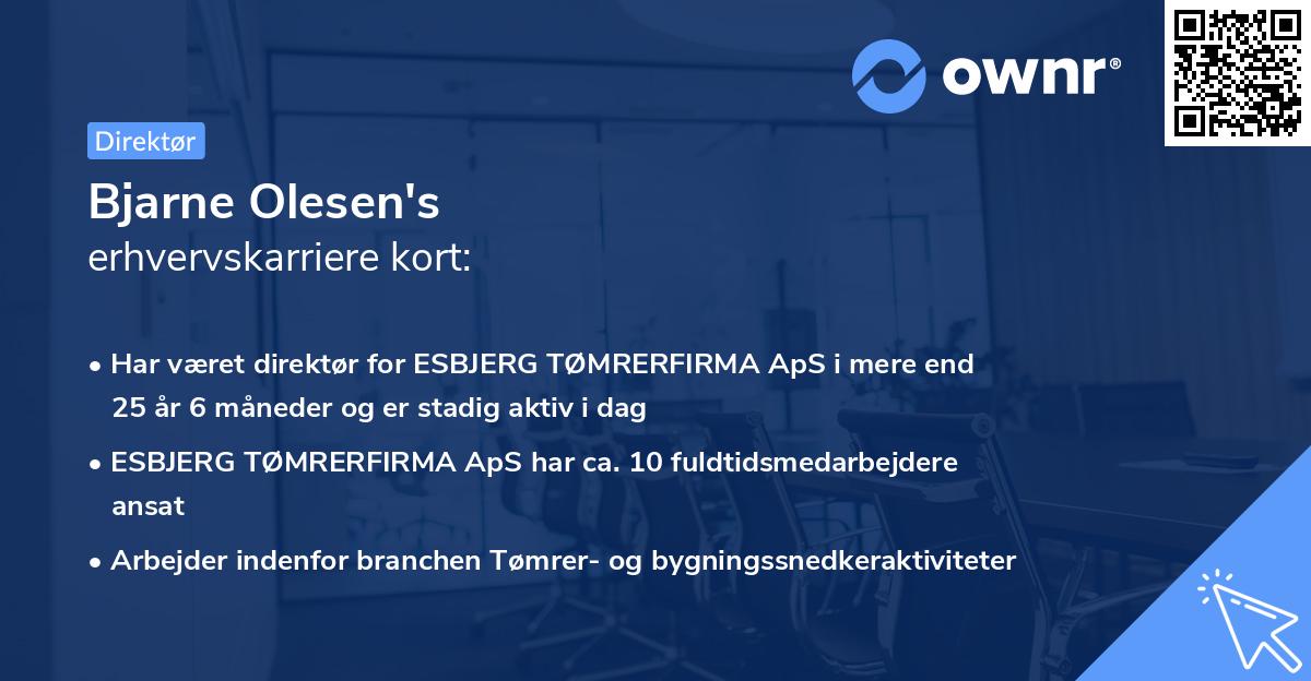 Bjarne Olesen's erhvervskarriere kort