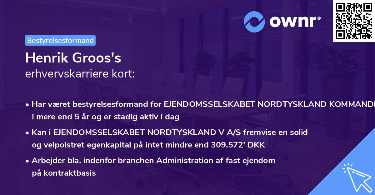 Henrik Groos's erhvervskarriere kort