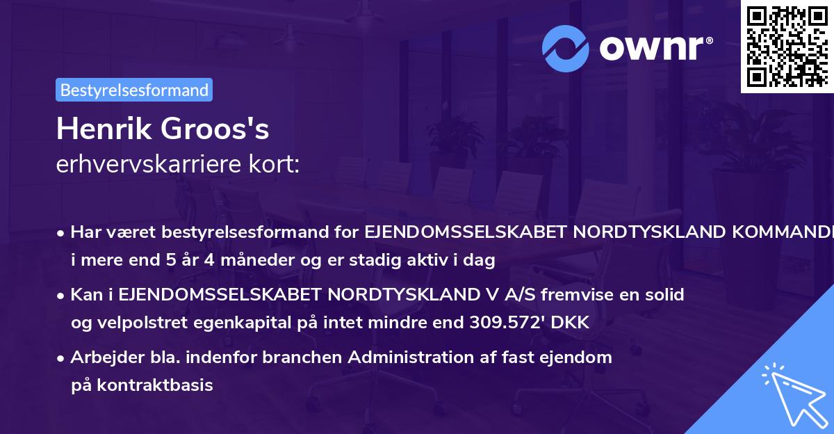 Henrik Groos's erhvervskarriere kort