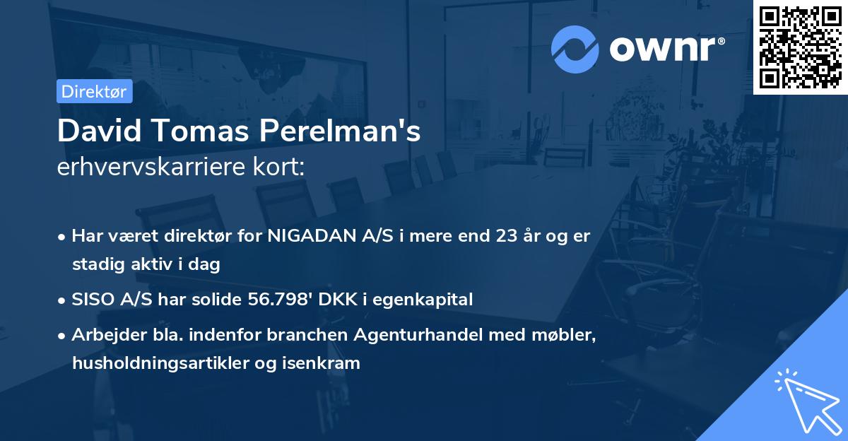 David Tomas Perelman's erhvervskarriere kort