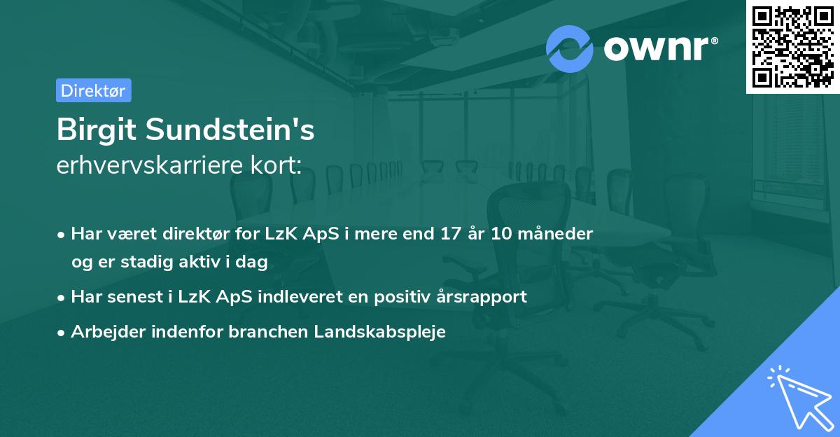 Birgit Sundstein's erhvervskarriere kort