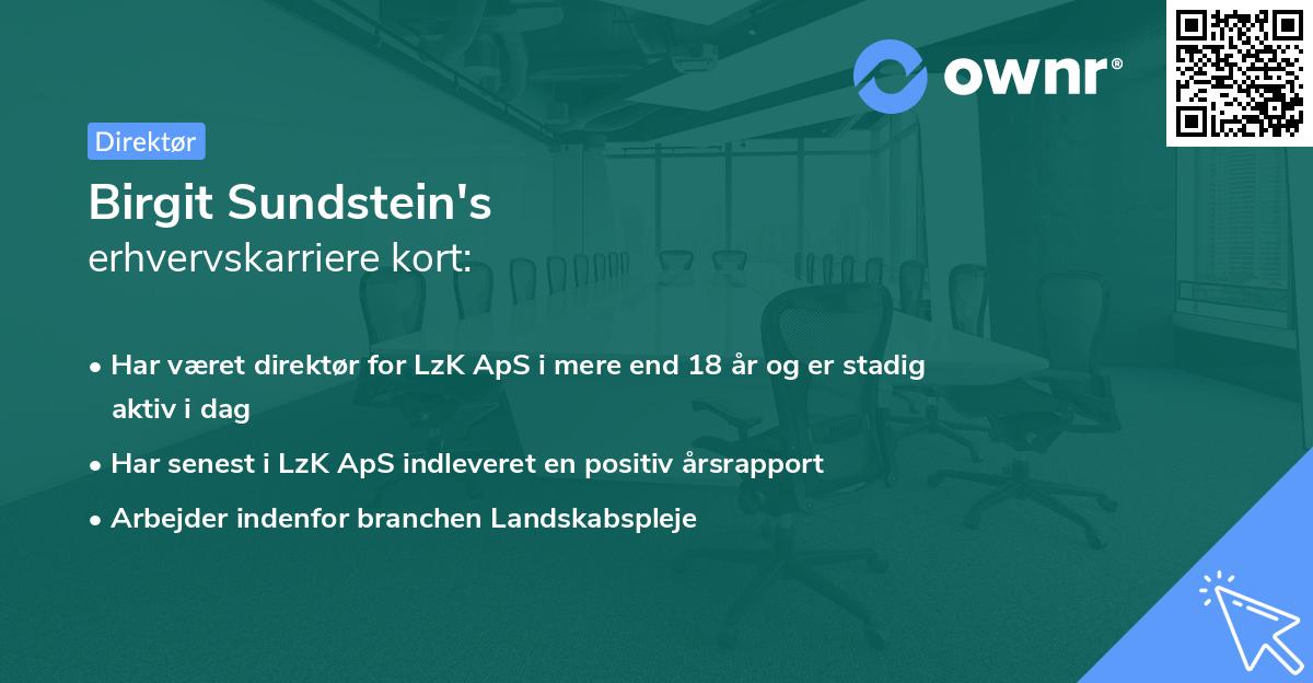 Birgit Sundstein's erhvervskarriere kort