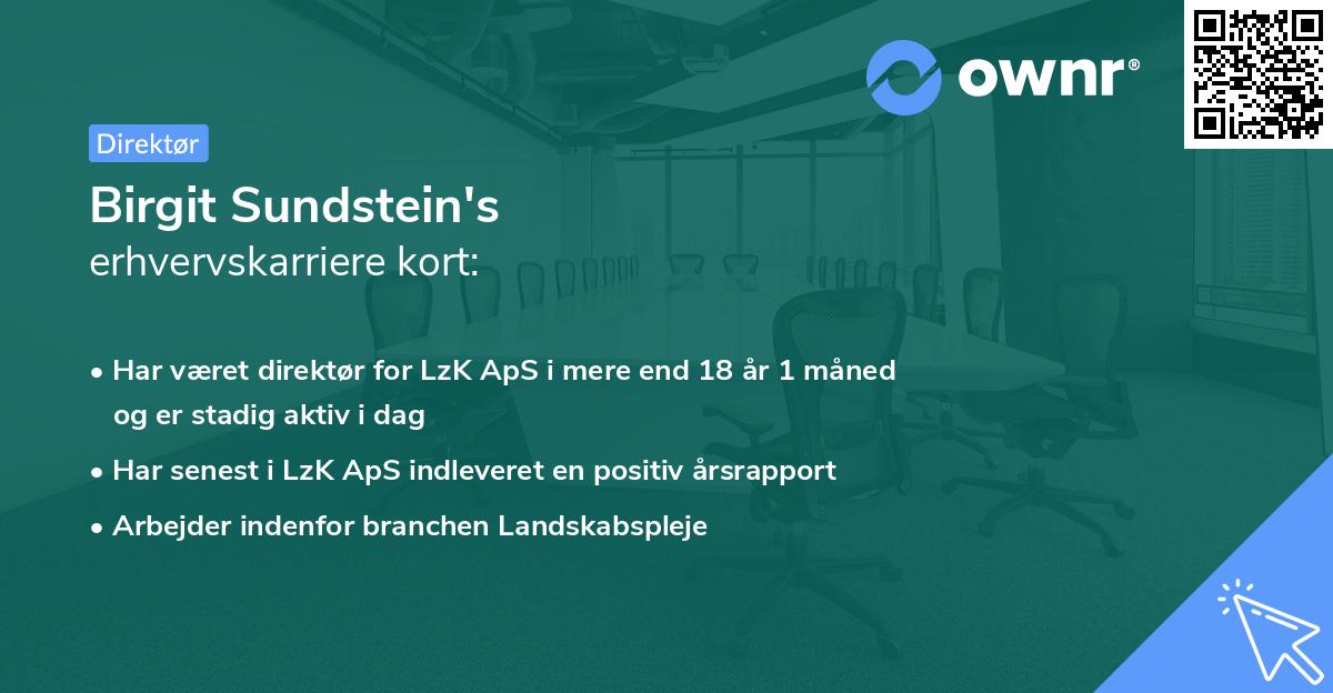 Birgit Sundstein's erhvervskarriere kort