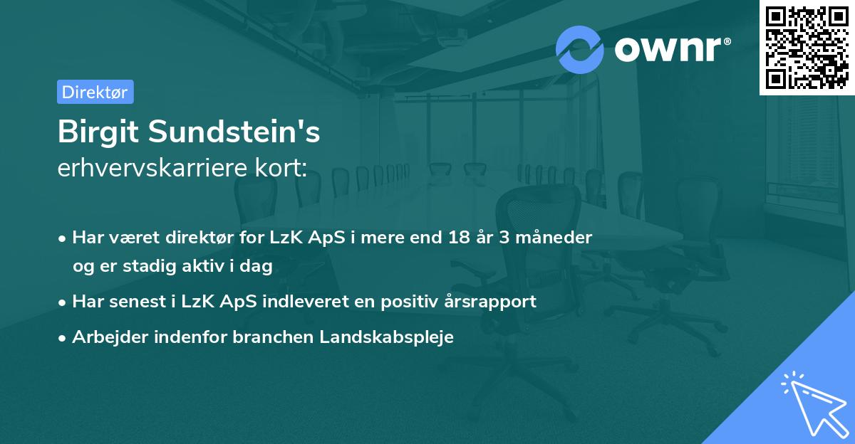 Birgit Sundstein's erhvervskarriere kort